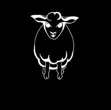 Sheep by Susanna IC Sheep by Susanna IC